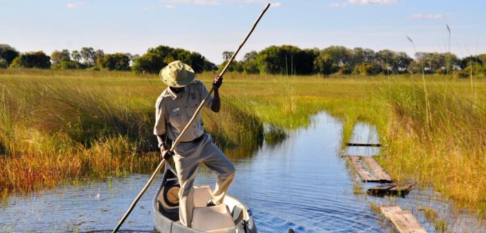 Jewel of the Kalahari: Okavango Delta